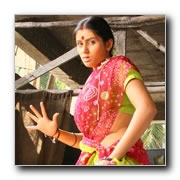 Pachai Kutharai Gallery